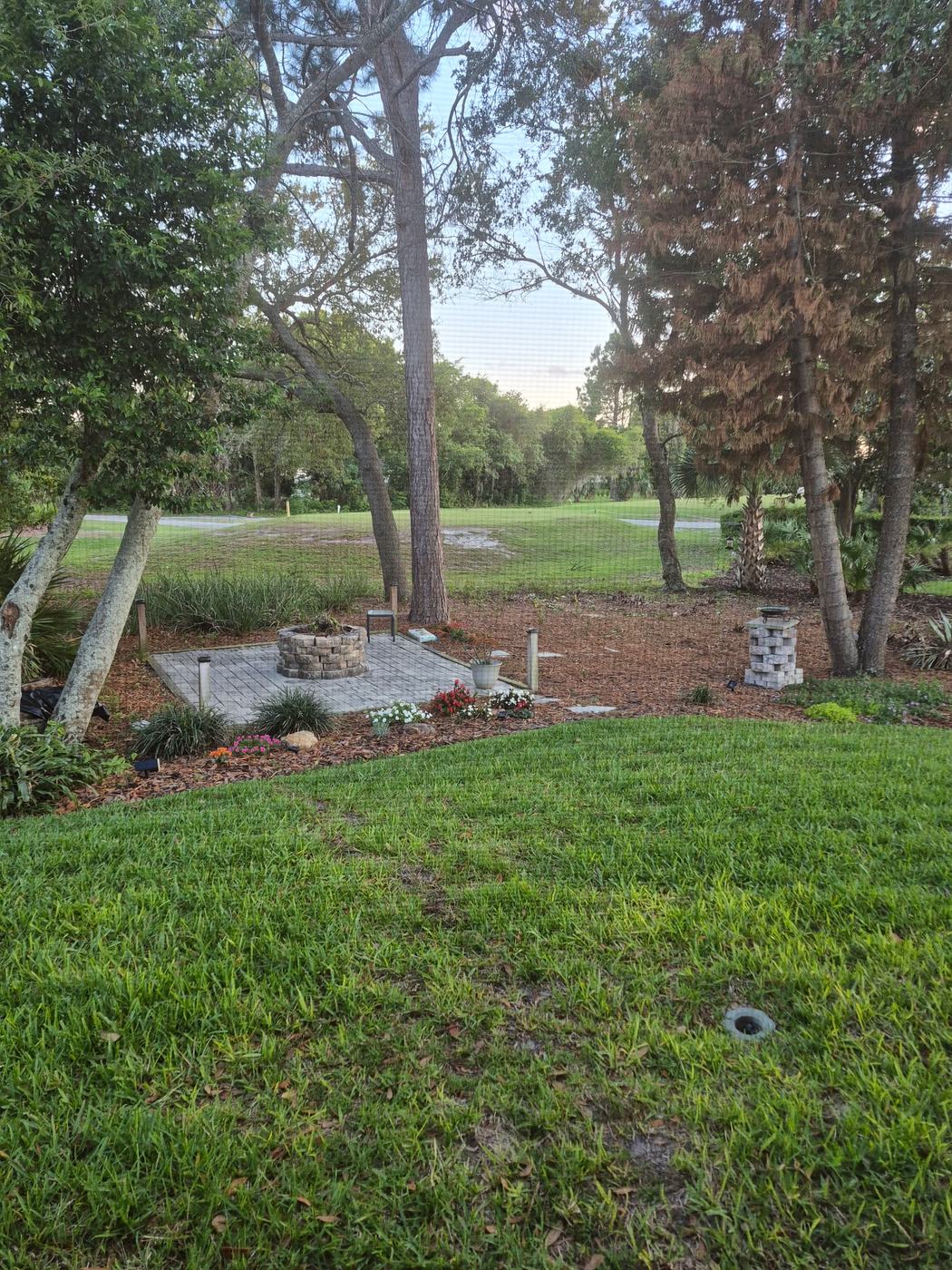 Green grass backyard where dogs enjoy supervised play during cage-free dog boarding in DeBary FL