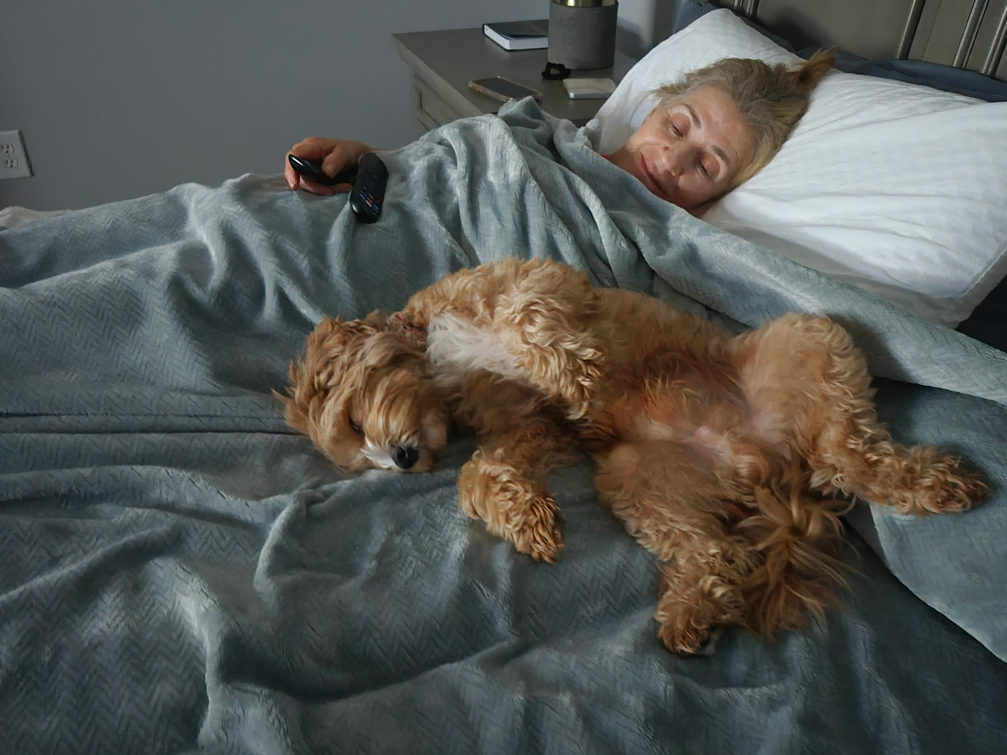 Small dog sleeping on a bed beside one of the home boarding owners